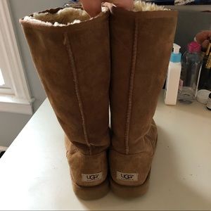Chestnut Uggs